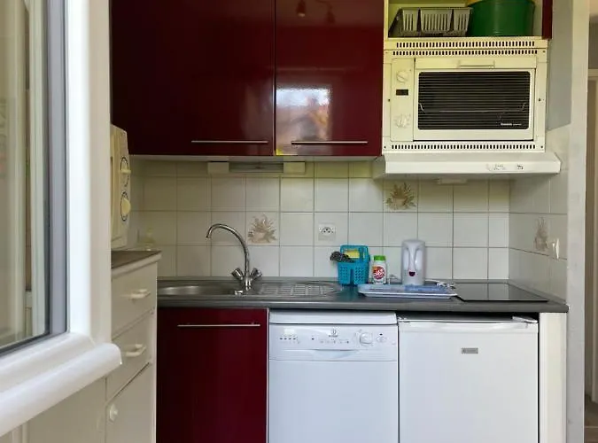 Proche Avec Jardin Ensoleille أولغات