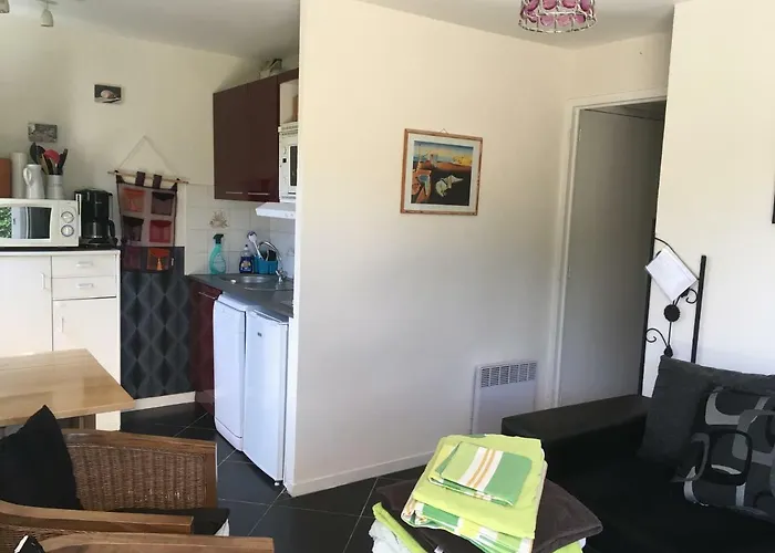 Proche Avec Jardin Ensoleille *